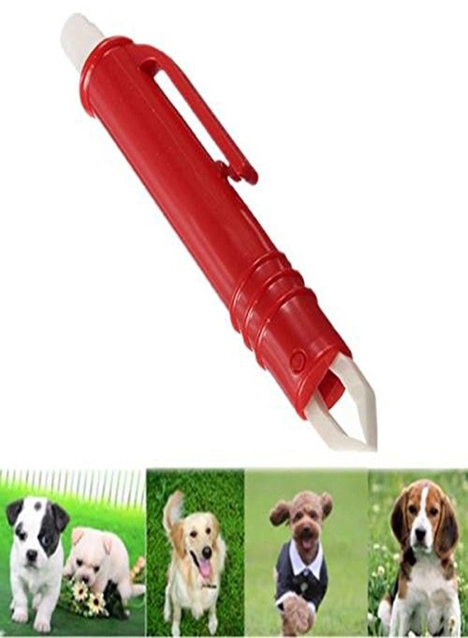 Sage Square Anti Tick/Lice/Flea/Mite Remover/Picker/Tweezer for Healthy Care of Dog/Puppy/Cat/Kitten (Red) - Image 4